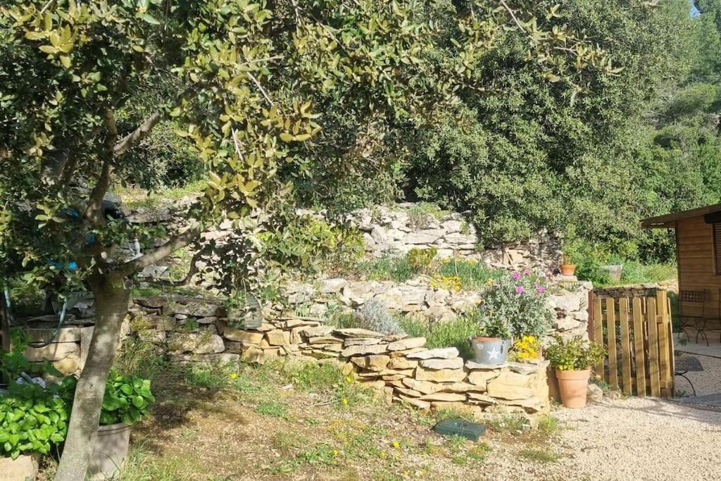 Maisonnette Chez L'Habitant La Ciotat Exterior photo